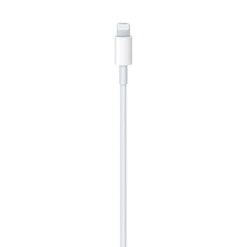 Apple USB-C to Lightning Cable (1m)